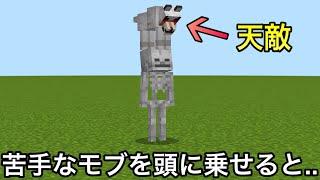 【マイクラ】絶対に誰も試さない未知の小ネタ・検証46連発.. ～完全版 知らないが気になるマニアック実験～【まいくら】【コマンド】【雑学】【トリビア】