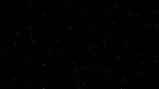 Starry Night Crickets