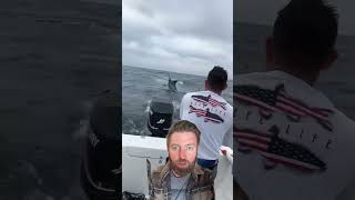 Man Catches HUGE Marlin