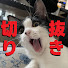 アイコン